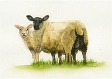 Ewe and Lamb Sheep Watercolour PRINT from an Original Watercolour Painting