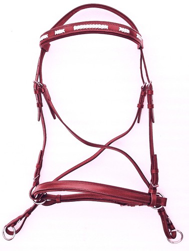 Bitless bridle crossover - bitless, &