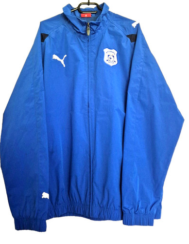 Cardiff city football track - cardiff,