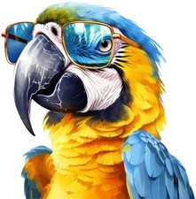 Blue gold macaw parrot bird - gold,