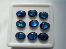 Oval abalone shell - oval,