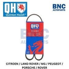 Quinton Hazell Drive Belt Fits