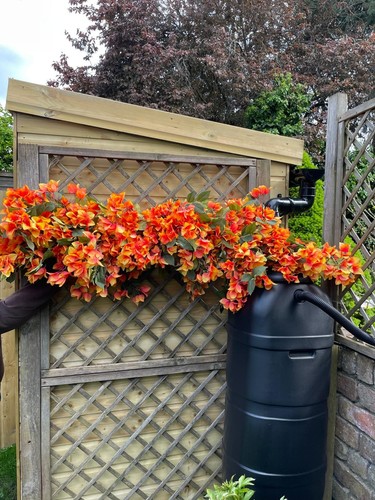 New faux orange - faux, bougainvillea