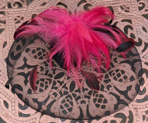 Hair fascinator netted - hair, fascinator,netted