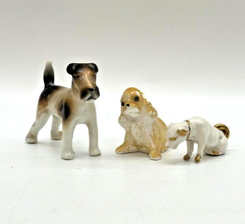 Small dog miniature - 3,