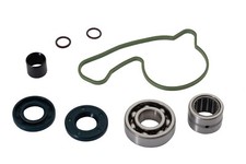 AS3 WATER PUMP REPAIR KIT for