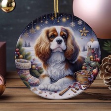 Cavalier King Charles Spaniel