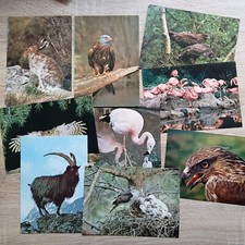 9 J Arthur Dixon Postcards of