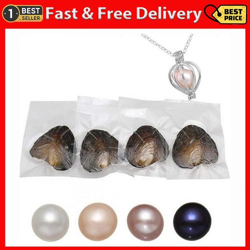 Natural oyster - natural,