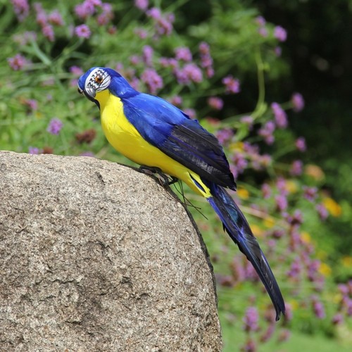 Blue simulation macaw - simulation,