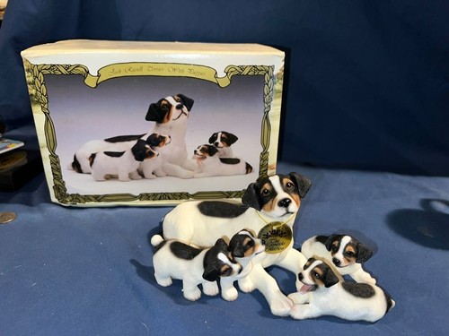 New box jack russell - in,