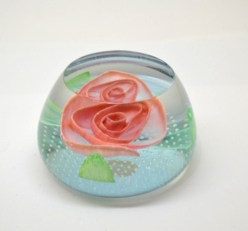 Caithness glamis rose - caithness,