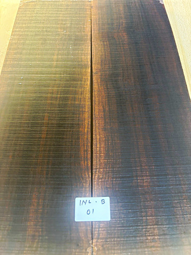 Indian laurel body blanks for - body,
