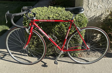 Bianchi Road Bike Campione