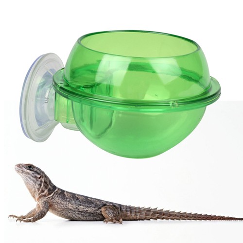 Water feeder small animal - ,