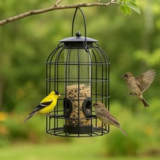 Large Wild Bird Seed Feeder &