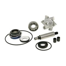 Vicma Water Pump Repair Kit