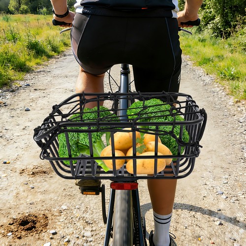 18l iron rear rack bike - rear,