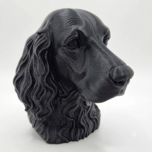 Irish setter bust home - bust,