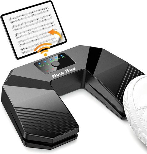 Wireless bluetooth page - page, turner