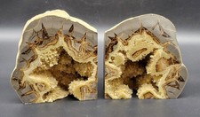 Septarian Geode Bookends