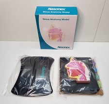 ANATOMICAL SINUS MODEL MEDICAL