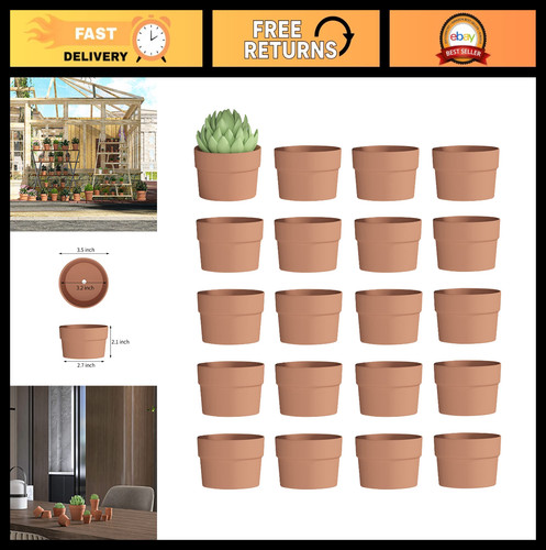 Terracotta succulent pots - terracotta,