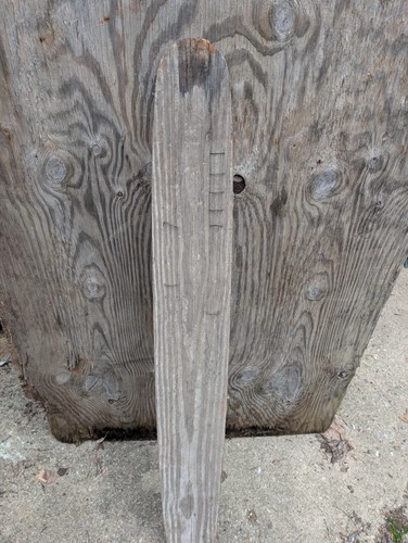 Antique water ski - antique,