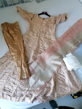 asian Pakistani indian party