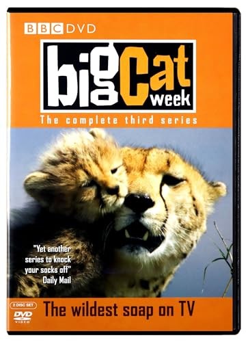 Big cat week - big, series