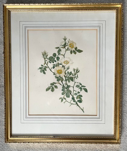 Rare antique chromolithograph - antique,