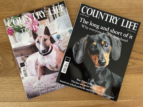 Country life magazine 2026 dog - country,