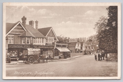 Antique horse postcard - , the
