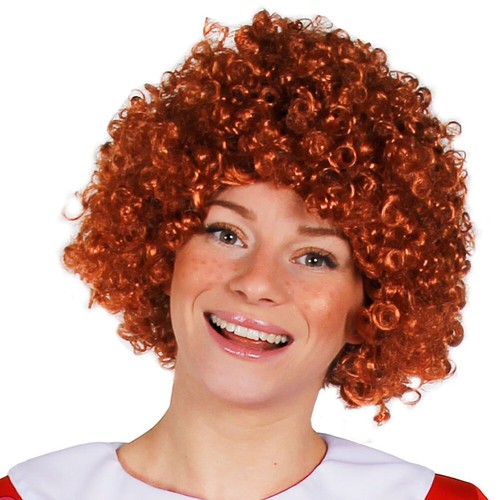 Afro wig fancy dress curly - dress,
