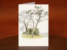 Orchard Trees at Under River