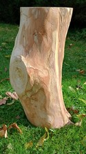 Natural bend tree stump table