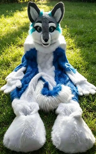 Long fur husky - fur, mascot