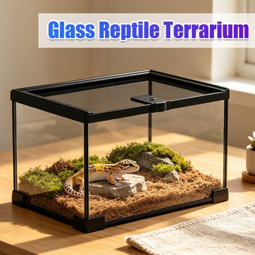 Glass reptile terrarium lizard - glass,