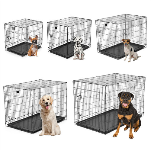 Dog cage puppy - cage, training