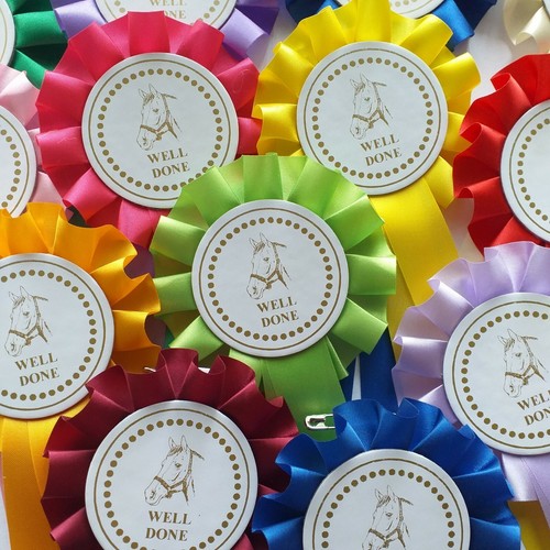 Well done horse - rosettes, x