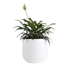 Round Plant Pot Elegant Large