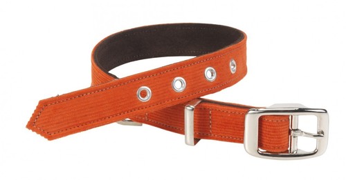 Designer dog collar orange - designer,