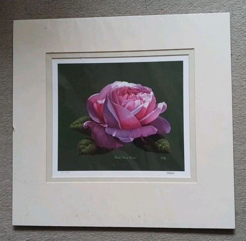 Signed sally keir - signed,