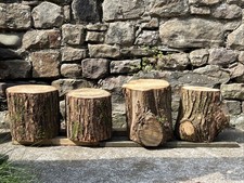 Rustic Tree Stump / Stool /