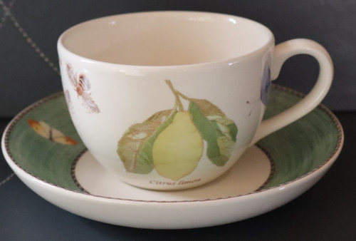 Wedgwood sarah garden citrus - wedgwood,