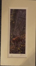 Mick Cawston signed Matted Limited Edition Print Night Patrol Stalking Fox