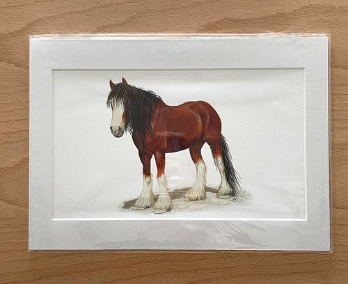 Clydesdale horse mounted - a4,