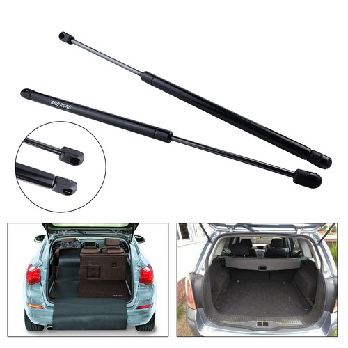 Pair rear tailgate - tailgate, struts