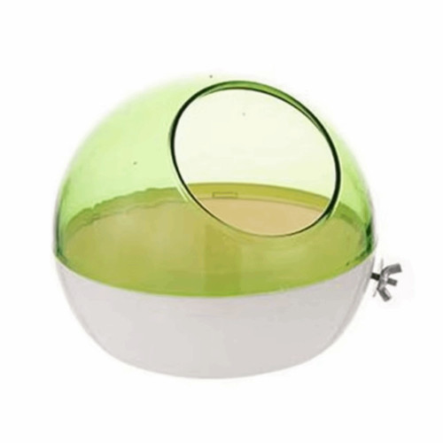 Parrot budgie lovebirds - budgie,