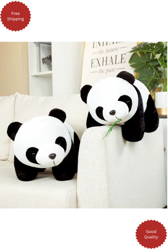 Cute baby bamboo panda - baby,